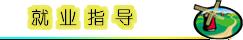 就业指导